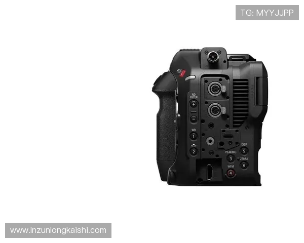 尊龙z6线上登陆平台最新安全指南与操作流程详解 尊龙z6线上登陆平台最新安全指南与操作流程详解