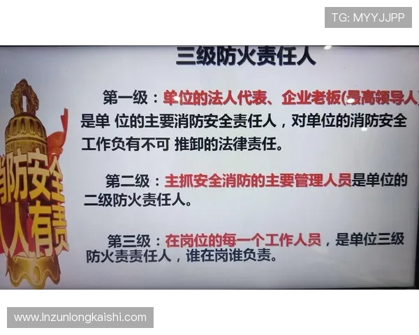 尊龙网址集团官网查询入口安全登录流程及常见风险防范措施全面讲解